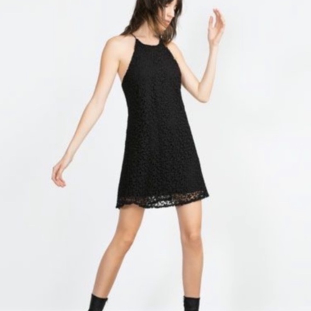 Zara Basic black lace dress LBD